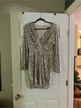 Express Silver Sequin Long Sleeve V-Neck Dress
